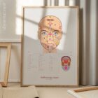Reflexology Chart Face and Tongue anatomy chart for clinics