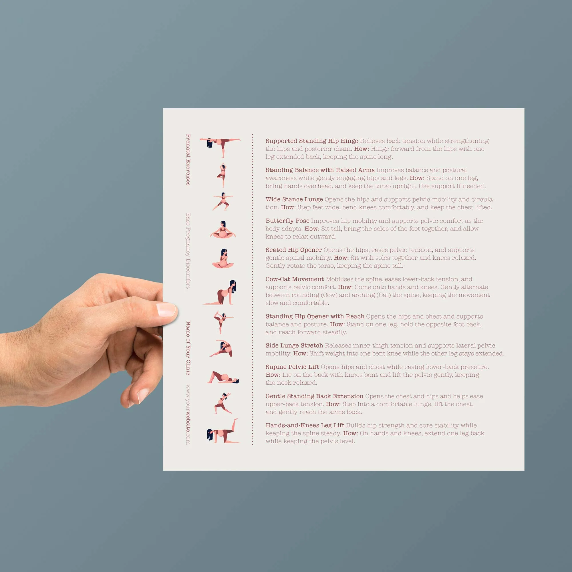 Gametogenesis Set anatomy chart for clinics Gametogenesis Set anatomy chart for clinics