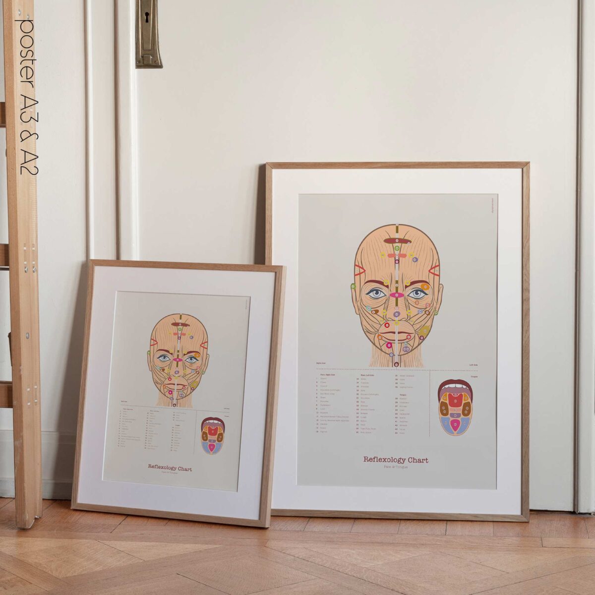 Patient-friendly reflexology chart illustrating facial and tongue reflex zones.