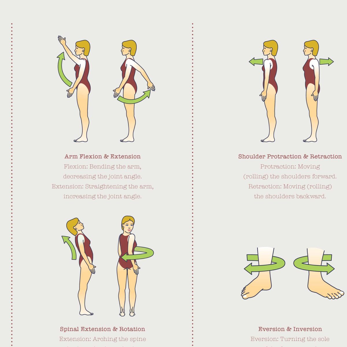 Types of Body Movements - Anatomy Chart with Fundamental Movement Patterns