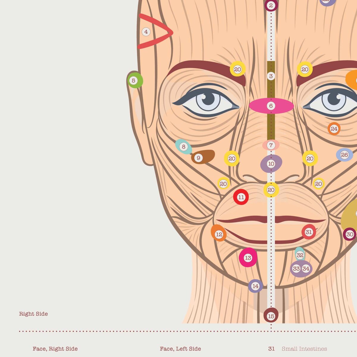 Patient-friendly reflexology chart illustrating facial and tongue reflex zones.