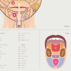Reflexology Chart Face and Tongue anatomy chart for clinics