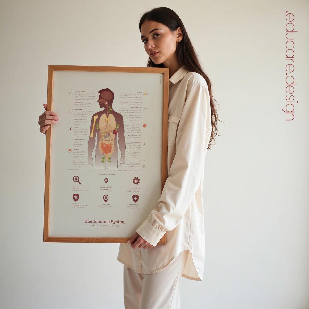 Immune system anatomy and immune response chart showing structure, response, and regulation for patient education.