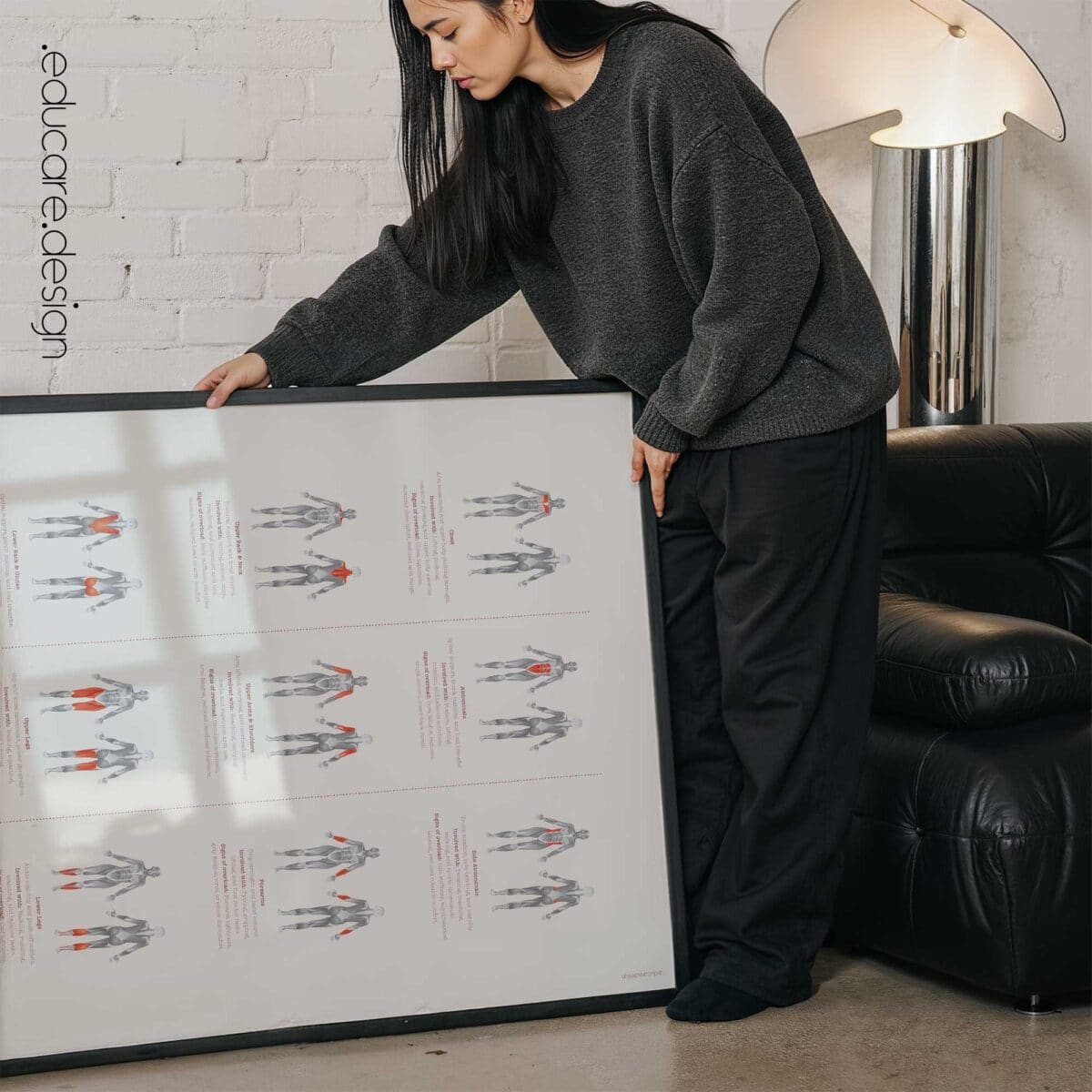 The Muscle Groups – Functional Anatomy Chart for Patient Education