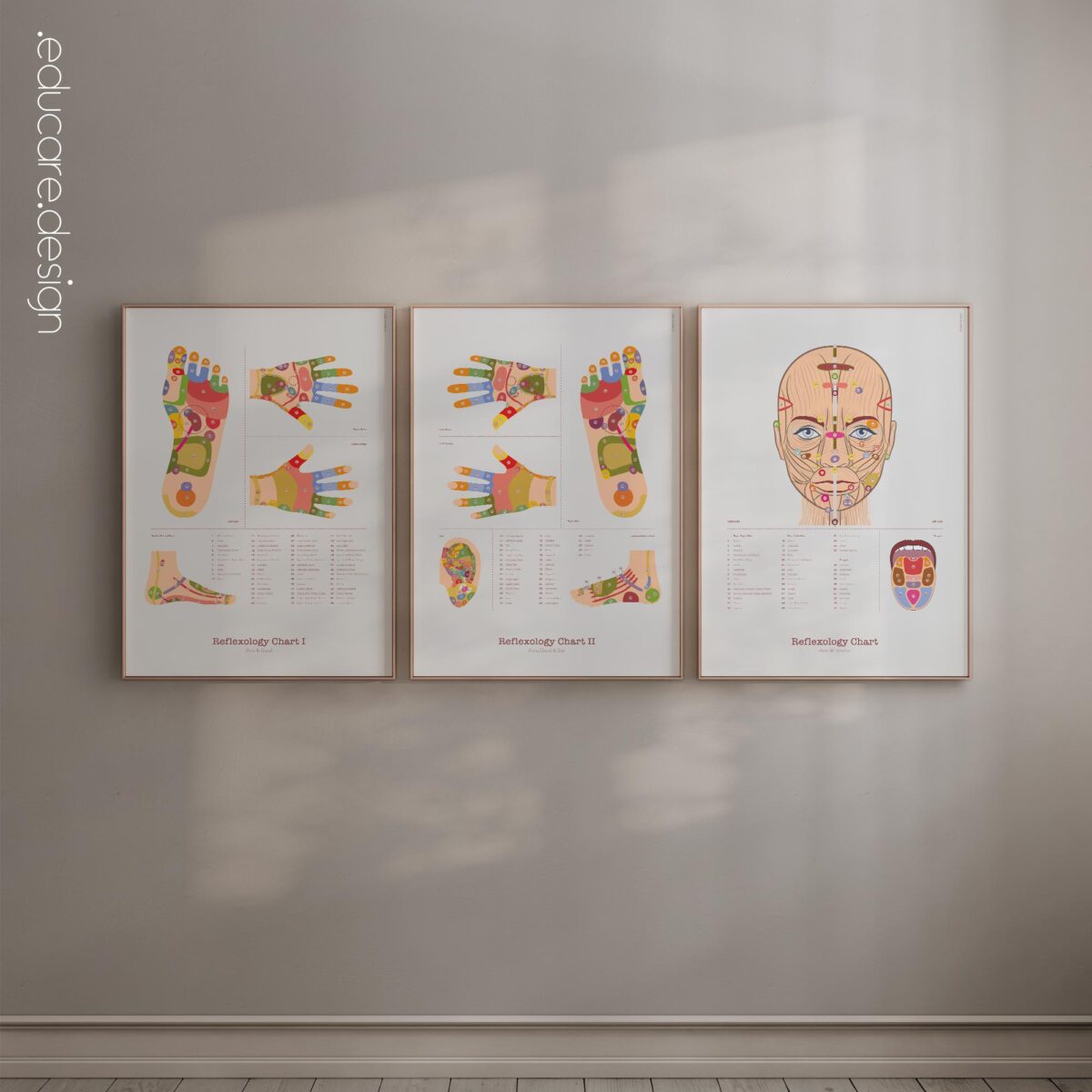 Patient-friendly reflexology charts.
