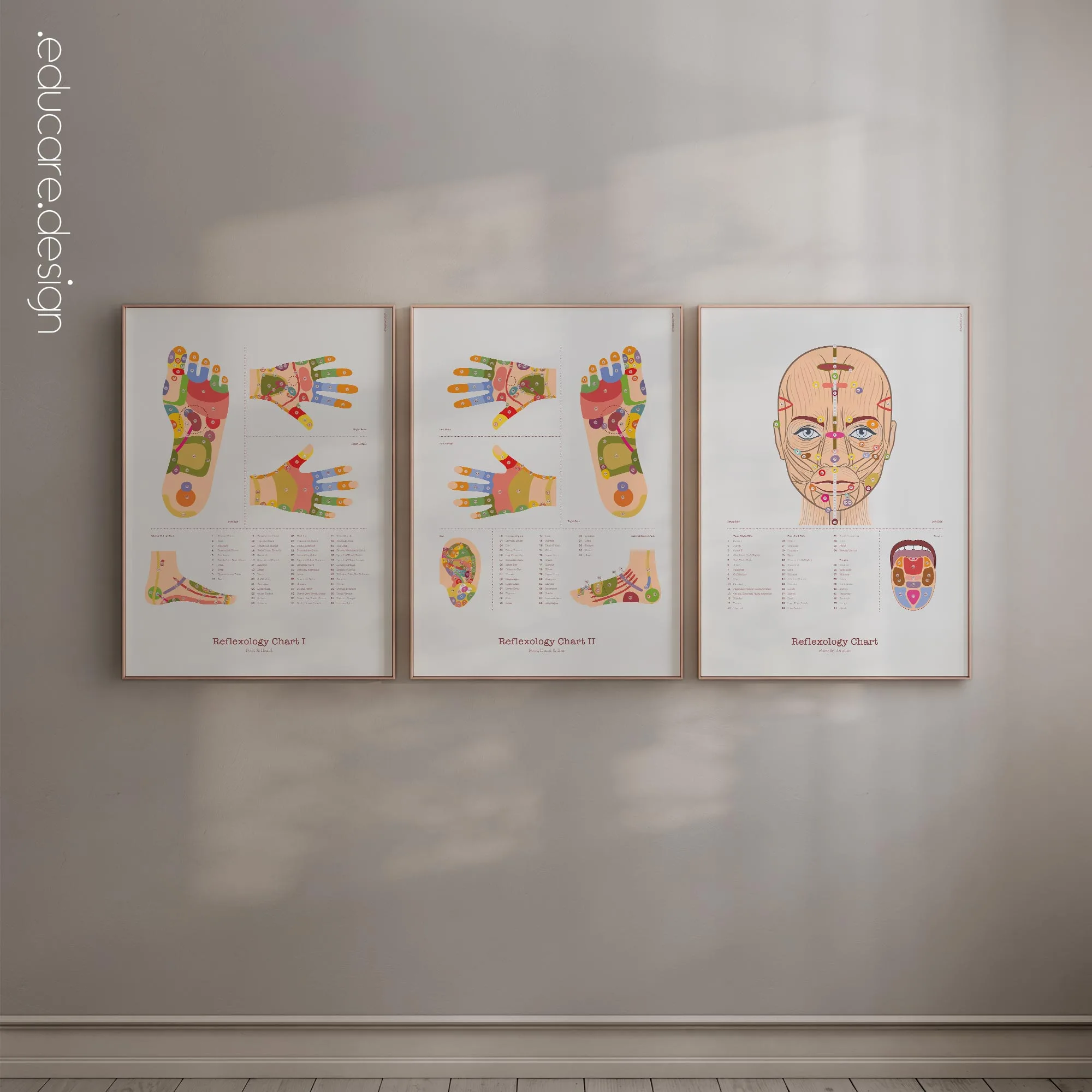 TBM Total Body Modification anatomy chart for clinics TBM Total Body Modification anatomy chart for clinics