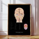 Reflexology Set anatomy chart for clinics