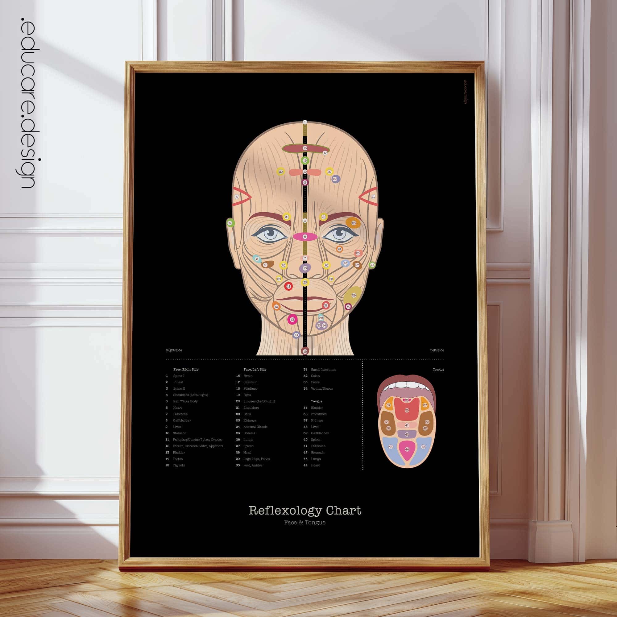 Patient-friendly reflexology chart illustrating facial and tongue reflex zones.