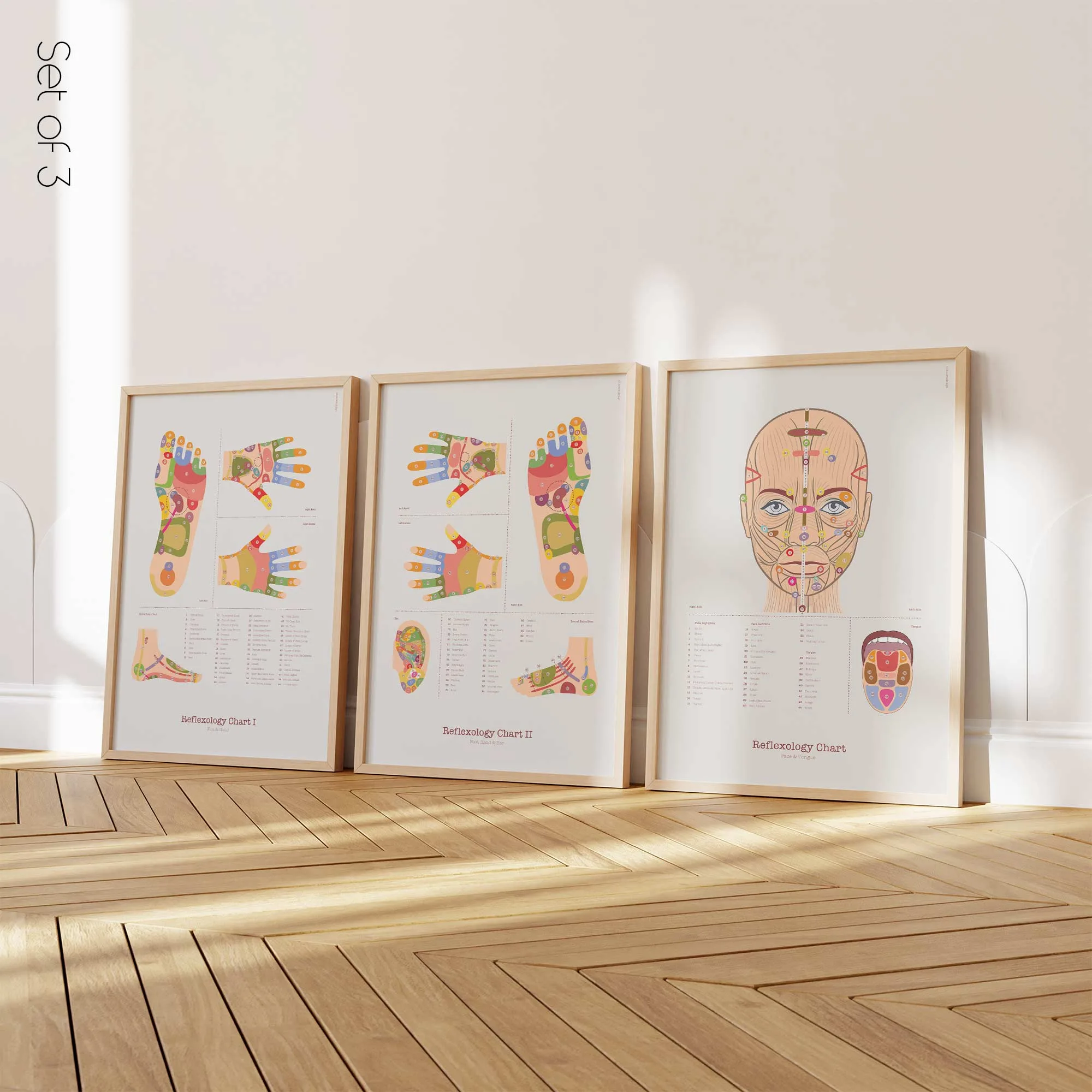 Reflexology Set anatomy chart for clinics