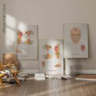 Reflexology Set anatomy chart for clinics