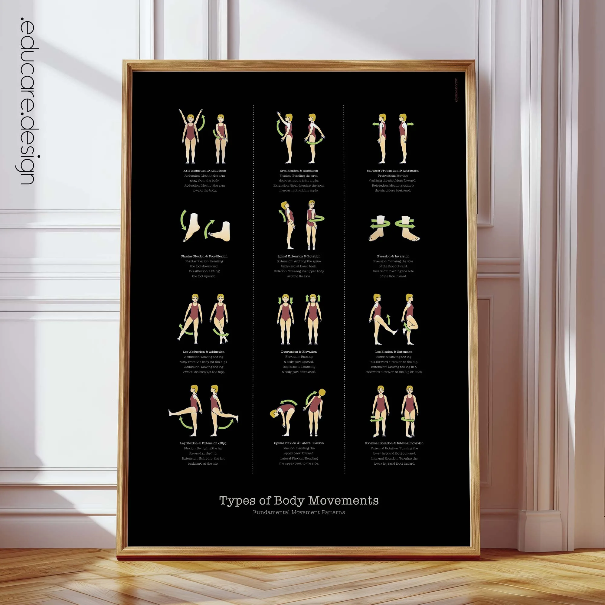 Types of Body Movements anatomy chart for clinics