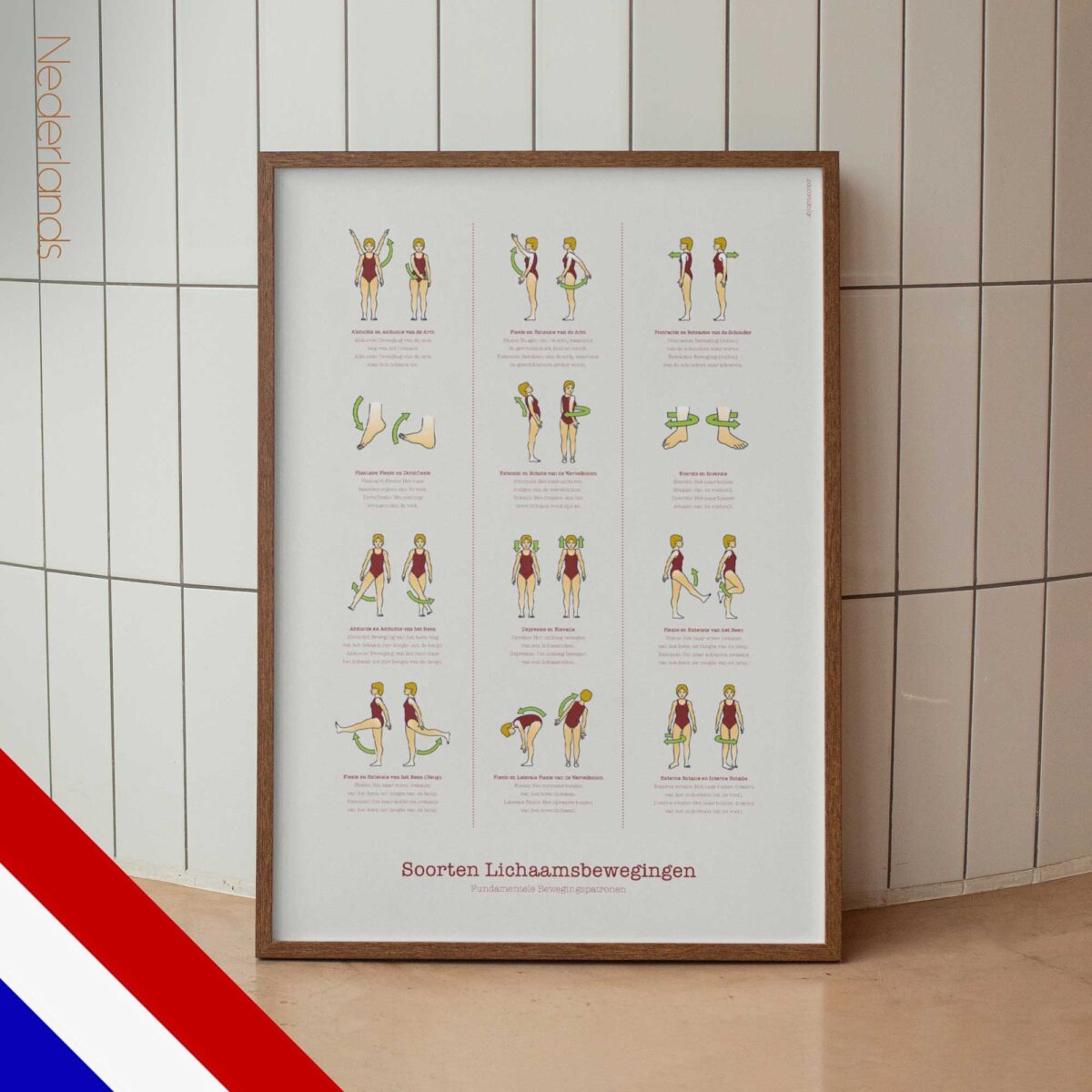 Types of Body Movements - Anatomy Chart with Fundamental Movement Patterns