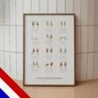 Typen Lichaamsbewegingen anatomisch diagram voor praktijken en klinieken
