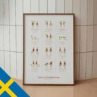 Typer av Kroppsrörelser anatomidiagram för kliniker
