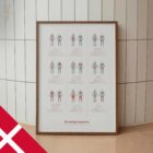 Muskelgrupper anatomidiagram til klinikker