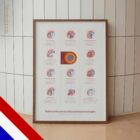 Veelvoorkomende Schouderaandoeningen anatomisch diagram voor praktijken en klinieken