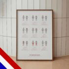 Spiergroepen anatomisch diagram voor praktijken en klinieken