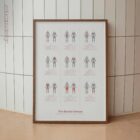 Muscle Groups anatomy chart for clinics