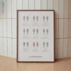 Muskelgruppen Anatomie-Chart für Praxen und Kliniken