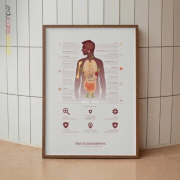 Immune system anatomy and immune response chart showing structure, response, and regulation for patient education.