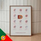 Condições Comuns do Ombro diagrama anatómico para clínicas e consultórios