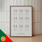 Grupos Musculares diagrama anatómico para clínicas e consultórios