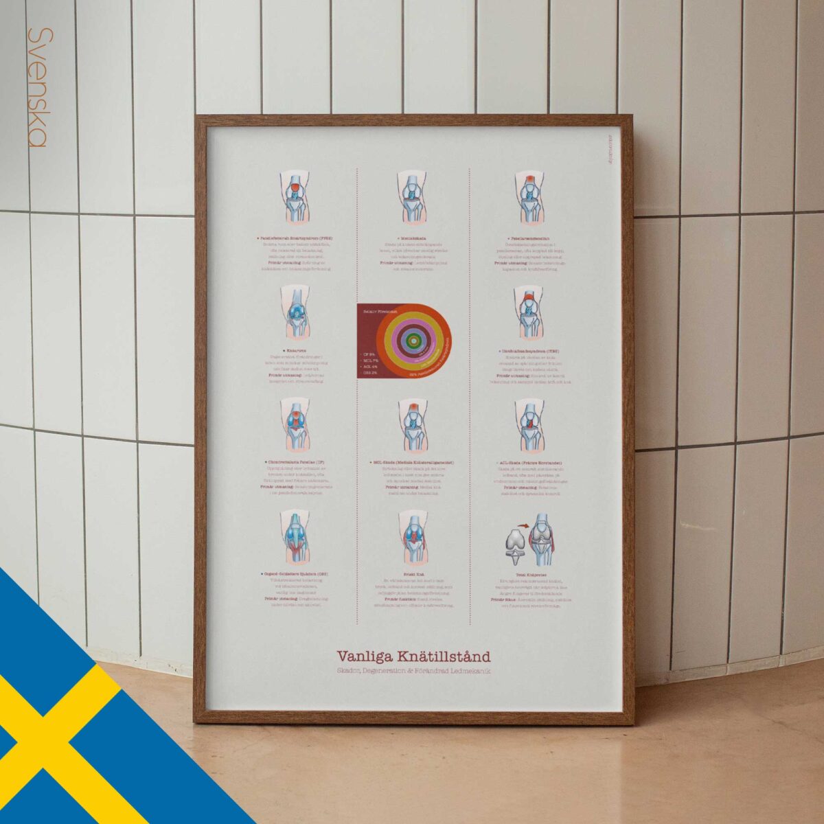 svensk_Common-Knee-Conditions