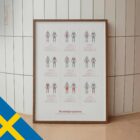 Muskelgrupper anatomidiagram för kliniker