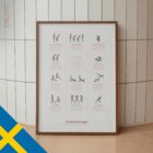 Pilatesövningar anatomidiagram för kliniker