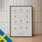 Prenatala Övningar anatomidiagram för kliniker