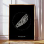 Reflexology Sole anatomy chart for clinics
