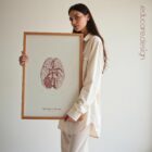 The Cranial Nerves anatomy chart for clinics