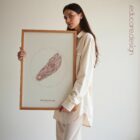 Reflexology Sole anatomy chart for clinics