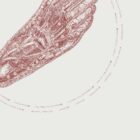 Reflexology Sole anatomy chart for clinics