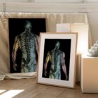 The Radiant Man anatomy chart for clinics