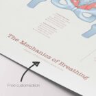 Mechanics of Breathing anatomy chart for clinics