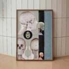 Cranial-Cervical Relationship anatomy chart for clinics