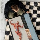 Fascia and Fascial Tissue Layers anatomy chart for clinics Fascia and Fascial Tissue Layers anatomy chart for clinics