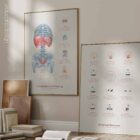 Breathing Exercises anatomy chart for clinics