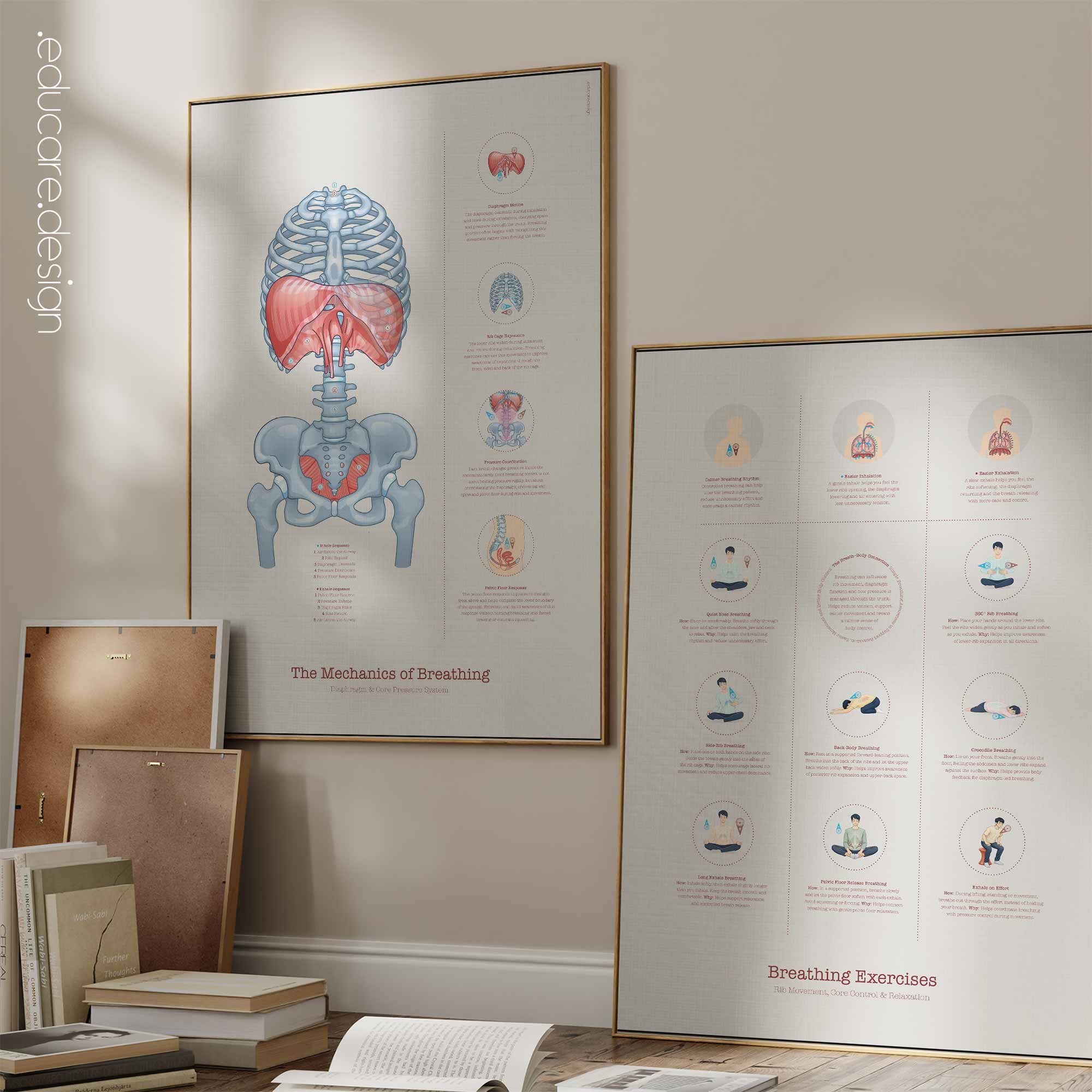 Breathing Mechanics and Exercises Set anatomy chart for clinics