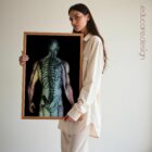 The Radiant Man anatomy chart for clinics