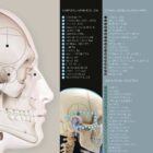 Cranial-Cervical Relationship anatomy chart for clinics