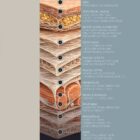 Fascia and Fascial Tissue Layers anatomy chart for clinics Fascia and Fascial Tissue Layers anatomy chart for clinics