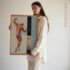Fascia and Fascial Tissue Layers anatomy chart for clinics Fascia and Fascial Tissue Layers anatomy chart for clinics