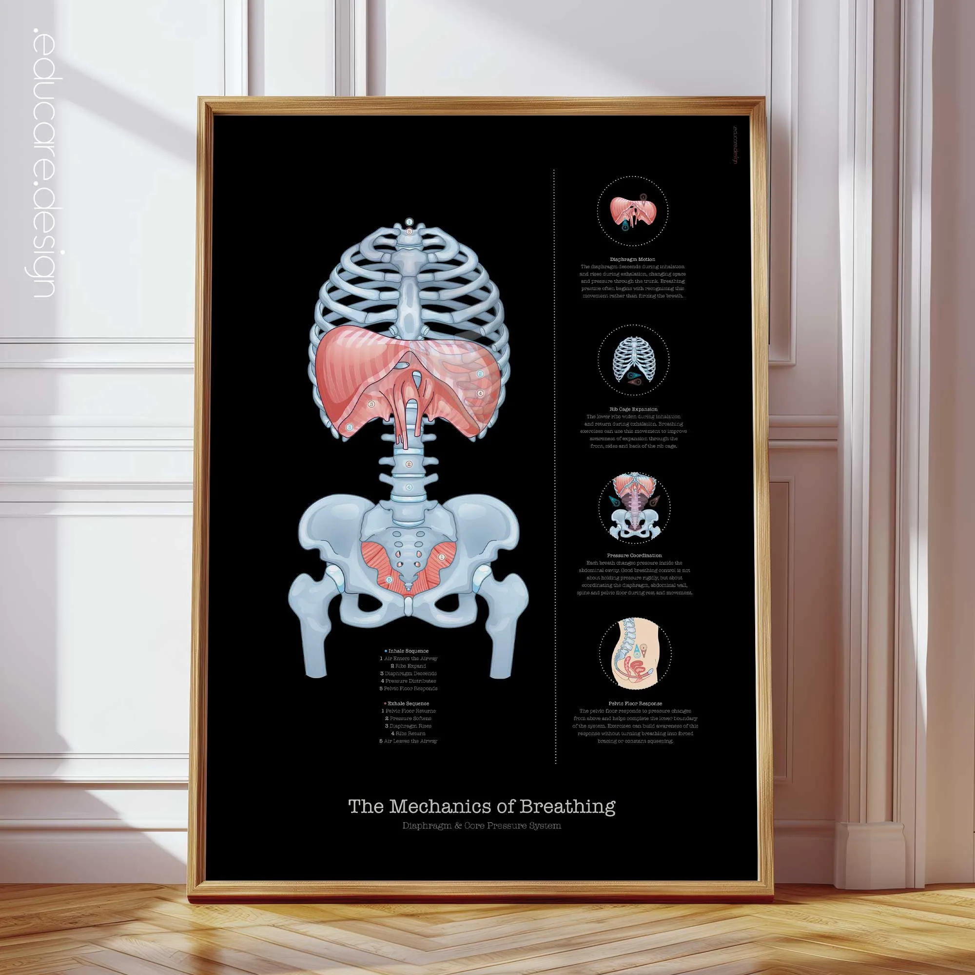 The Mechanics of Breathing Chart for Diaphragm & Core Pressure Education