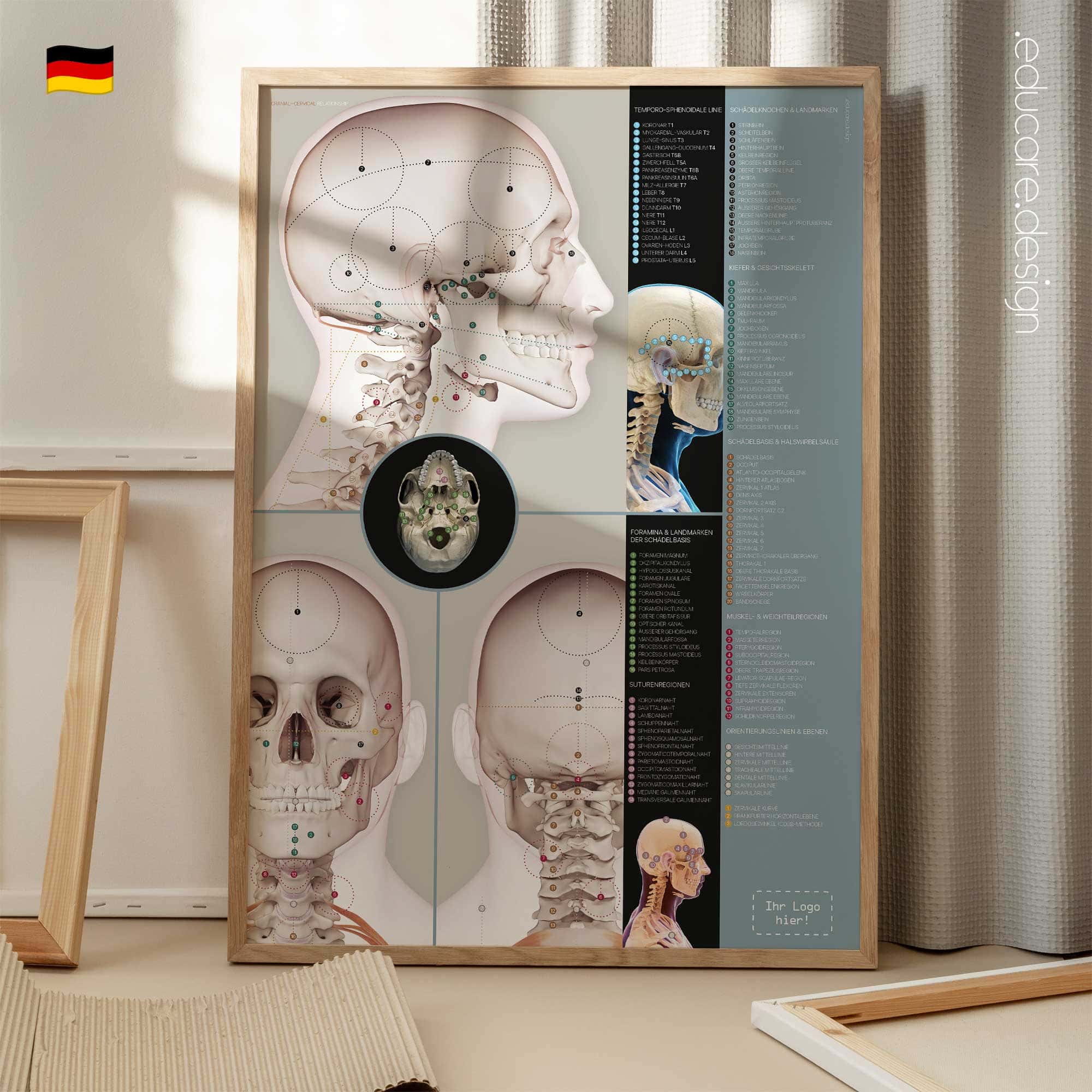 Kraniozervikale Beziehung Anatomie-Chart für Praxen und Kliniken Kraniozervikale Beziehung Anatomie-Chart für Praxen und Kliniken