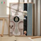 Relazione Cranio-Cervicale tavola anatomica per studi e cliniche