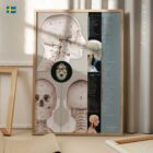 Kranio-Cervikal Relation anatomidiagram för kliniker
