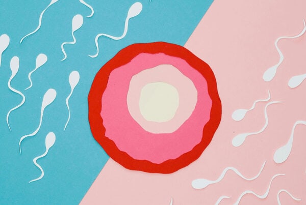 reproductive health blog main – Premium Anatomy Chart by educare.design