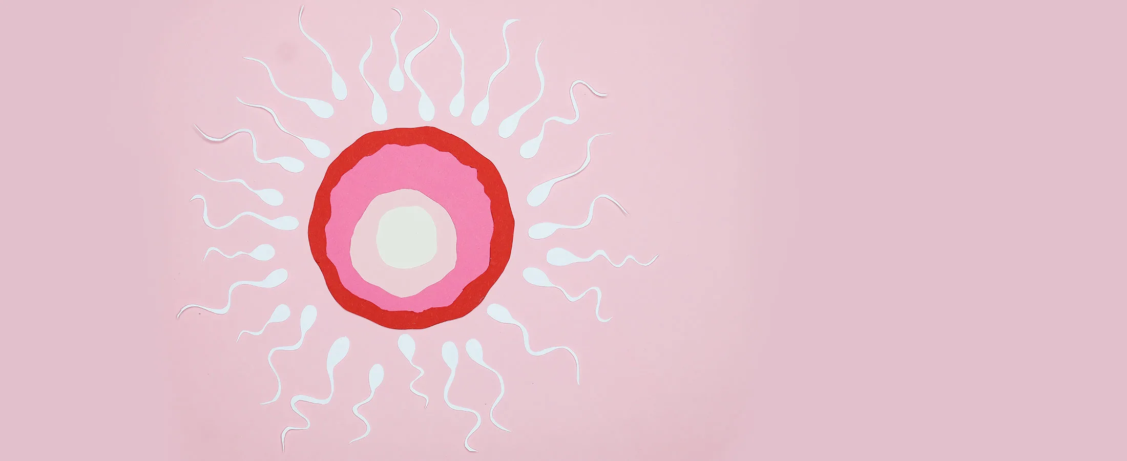 Why Visual Education Matters in Reproductive Health Clinics